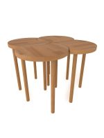 Yonca Orta Sehpa Takımı - Görsel 3